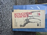 Amurgul filozofilor vintage