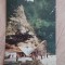 CPIB 23040 CARTE POSTALA - OLANESTI, IZVORUL NR.24