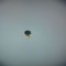 Sonerie buzzer Samsung Galaxy J530 Duos