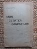 Adela Xenopol - Prin cetatea Carpatilor
