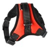 Ham Reglabil Caini, Marime S, Rosu, Textil, Ajustabil, 38-45cm Gat, 44-53cm Abdomen, Max 12.5kg