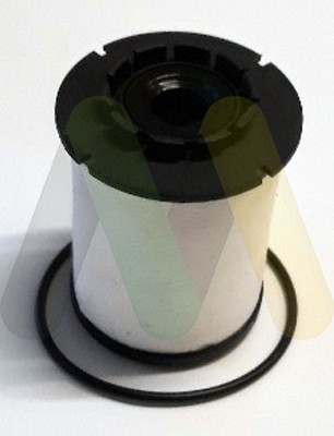 MOTAQUIP LVFF748 filtru combustibil