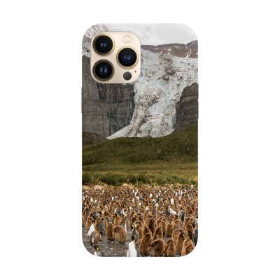 Husa compatibila cu Apple iPhone 14 Plus model Penguin party, Silicon, TPU, Viceversa foto