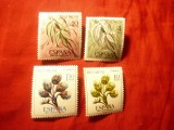 Serie Rio Muni colonie spaniola 1967 - Flora , 4 valori, Nestampilat