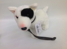 Caine de plus Bull Terrier nat geo