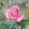 Someone Cares for You (Pack of 25)