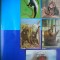 HOPCT LOT NR 439 MAIMUTA / MAIMUTE -FAUNA -5 CARTI POSTALE-NECIRCULATE