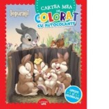 Disney: Iepurasi. Cartea mea de colorat cu autocolante