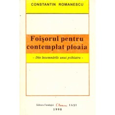 Constantin Romanescu - Foisorul pentru contemplat ploaia - Din insemnarile unui psihiatru - - 136912 foto