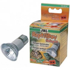 JBL ReptilDay Halogen 75W, 6184300, bec terariu foto