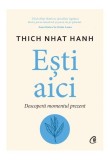 Ești aici Thich Nhat Hanh - Curtea Veche