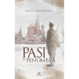 Pasi in penumbra - Silviu Macrineanu