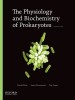 The Physiology and Biochemistry of Prokaryotes (English Book) - Genomics, Metabolism, Cell Behavior, Microbial Diversity