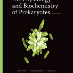 The Physiology and Biochemistry of Prokaryotes