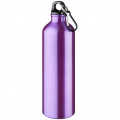 Sticla de apa 770 ml, cu carabina, fara BPA, aluminiu, Everestus, 8IA19116, violet, saculet de calatorie inclus foto