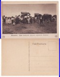 Alexandria-Teleorman- tipuri, tigani -rara
