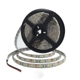 Banda albastra 3528, 300LED, 4.8W/m, 5m