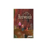 A Walk Through the Redwoods