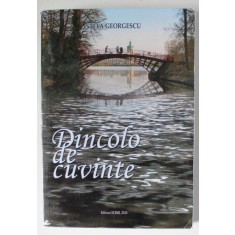 DINCOLO DE CUVINTE de STELA GEORGESCU , 2010