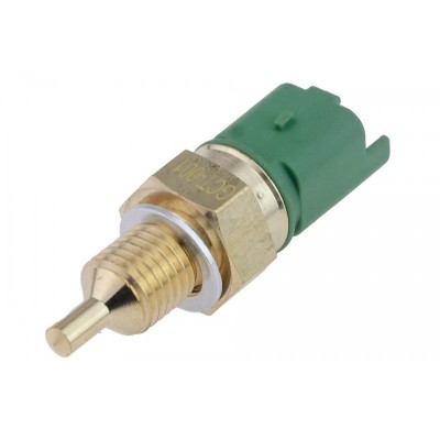 Sensor Temperatura Apai , Eng.1.1 , 1338.A7 foto