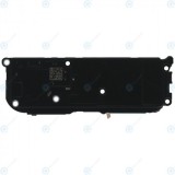 Modulul difuzor OnePlus 6T (A6010 A6013) 1061100075