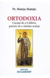 Carte Ortodoxie Catehism Apologetic Diferente Doctrinare Ortodoxism Catolicism Protestantism Identitate Crestin-Ortodoxa Mateja Matejic