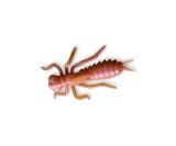 Năluca soft Crazy Fish Kasari 40mm culoare 52 Shrimp+Squid
