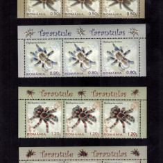 Romania 2010 Fauna Tarantule Triptic 4 bucati Serie completa MNH LP 1856 b