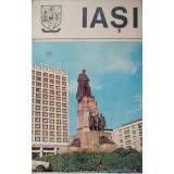 IASI, MONOGRAFIE-CRISTIAN CHELARU, PAVEL GORINCIOI SI COLAB.-234414