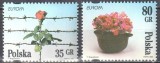 Polonia 1995 - Europa, flori, serie neuzata
