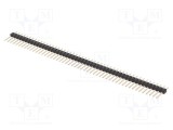 Conector şiruri pini tată PIN 50 drept 2,54mm THT MPE GARRY