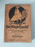 Gefl&uuml;gelzucht Ein Lehrbuch neuzeitlicher Betriebsweisen der gesamten Gefl&uuml;gelzucht. Mit einem Teil Rassenkunde Mantel, K. und E. Klein