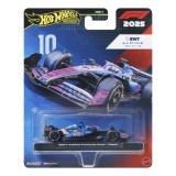 HOT WHEELS PREMIUM REAL RIDERS FORMULA 1 2024 MASINUTA METALICA BWT ALPINE FORMULA ONE TEAM SCARA 1 LA 64