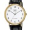 Ceas barbatesc QQ Clasic V720J104Y