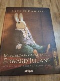MIRACULOASA CALATORIE A LUI EDWARD TULANE de KATE DICAMILLO , 2013