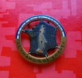 H499-I-Insigna Scoala de Ski Franta- Chamois de France marca Augis Lyon anii 1945-1965 bronz aurit si emailat stare buna in patina timpului.
