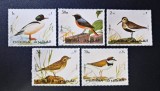 Fujeira (Emiratele Arabe Unite) 1972 Fauna Păsări Exotice Lot 5v Poșta Aeriană Ștampilat - A90