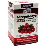 Extract de Merisor si Splinuta 100cps