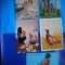 HOPCT LOT NR 1028 PASARI DIVERSE -FAUNA -5 CARTI POSTALE-NECIRCULATE