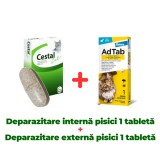 Cestal Cat 1 Comprimat Pisici - Deparazitare Interna si Externa - Tratamente Viermi Lati Rotunzi
