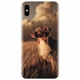 Husa silicon pentru Apple Iphone X, Alone Dog Animal In Grass