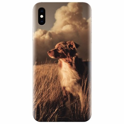 Husa silicon pentru Apple Iphone X, Alone Dog Animal In Grass foto