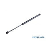 Amortizor haion Renault Megane II (2002-2011)[BM0/1_,CM0/1_] #1