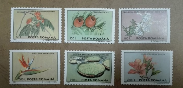 TIMBRE ROMANIA MNH LP 1393/1995 Flori din Gradina Botanica Bucuresti