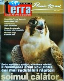 Terra Magazin. Soimul calator. Forta, agilitatea, curajul, atitudinea mandra il