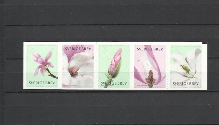 SUEDIA 2015 FLORI MAGNOLII