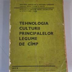 Tehnologia culturii principalelor legume de camp - 1979