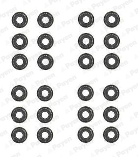 PAYEN HR5062 Set garnituri ax supape foto