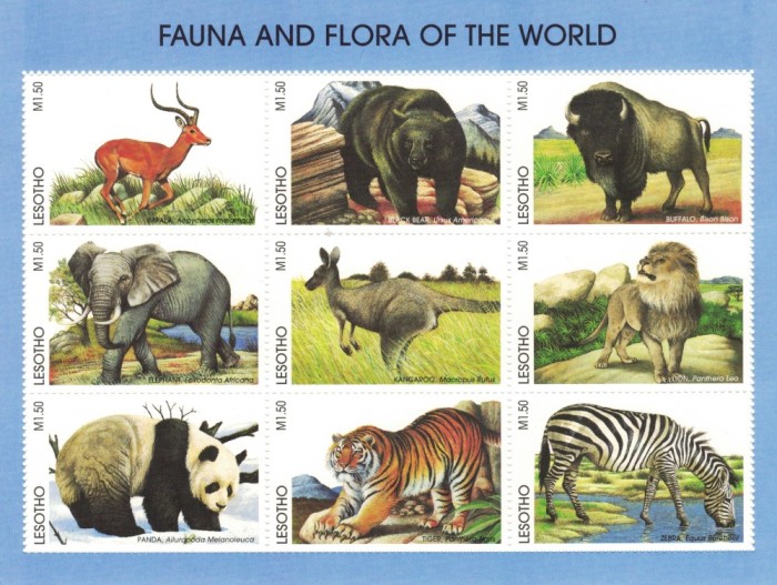 LESOTHO 1998 - Animale salbatice / colita MNH