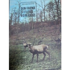 DIN FAUNA SI FLORA ROMANIEI- ION SIMIONESCU, BUC. 1981